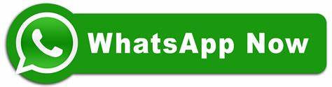 WhatsApp Business API